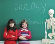 Biologia Escolar (9)