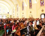 A Igreja Católica No Brasil (5)