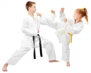 Arte Marcial Karate (1)