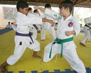 Arte Marcial Karate (4)