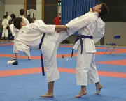 Arte Marcial Karate (11)