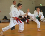 Arte Marcial Karate (9)