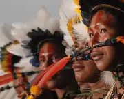 Cultura Indigena (2)