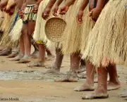 Cultura Indigena (6)