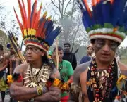 Cultura Indígena (18)