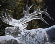 Esculturas de Gelo (6)
