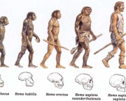 Evolução 1