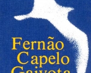 Fernão Capelo Gaivota (Richard Bach) (6)