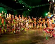 Festivais Folclóricos na Amazônia (3)