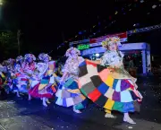 Festivais Folclóricos na Amazônia (6)