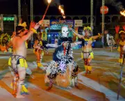Festivais Folclóricos na Amazônia (11)