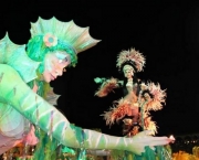 Festivais Folclóricos na Amazônia (12)