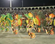 Festivais Folclóricos na Amazônia (14)