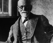 Freud e a Psicanálise (7)