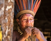 Indios Guarani (2)