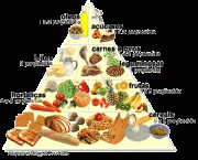 O Que e a Piramide Alimentar (1)