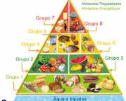 O Que e a Piramide Alimentar (13)