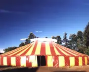 origem-do-circo (16)