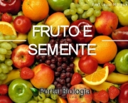 fruto-e-semente-portal-biologia-interativa