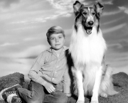 Lassie (CBS)
1954 - 1974
Shown: Jon Provost (as Timmy Martin, 1958-1964), Lassie the Dog
