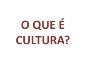 Desenvolvimento Cultural Renato Ortiz e Piaget (9)