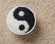 Black and white rice with Yin Yang pattern