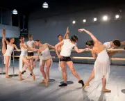 Academias de Ballet (5)