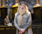 Albus Dumbledore (6)