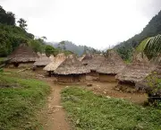 Aldeias Indigenas do Brasil (6)