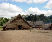 Aldeias Indigenas do Brasil (9)
