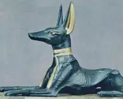 Animais Sagrados do Antigo Egito (2)