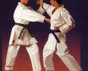 Arte Marcial Karate (2)
