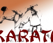 Arte Marcial Karate (3)