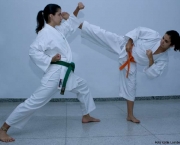 Arte Marcial Karate (5)