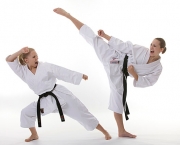 Arte Marcial Karate (6)