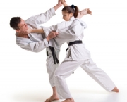 Arte Marcial Karate (7)
