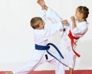 Arte Marcial Karate (10)