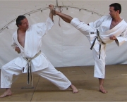 Arte Marcial Karate (13)