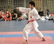 Arte Marcial Karate (14)