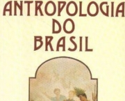Como Surgiu a Antropologia no Brasil (4)