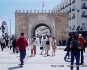 Cultura da Tunisia (14)