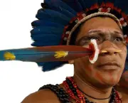 Cultura Indigena (1)