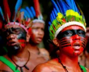 Cultura Indigena (5)