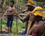 Cultura Indígena (8)