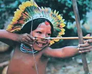 Cultura Indigena (10)