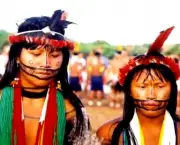 Cultura Indigena (11)