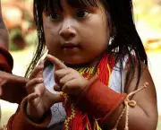 Cultura Indígena (16)