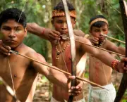 Cultura Indigena (15)
