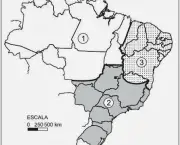 Divisão Geoeconômica do Brasil (5)