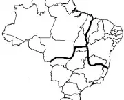 Divisão Geoeconômica do Brasil (6)